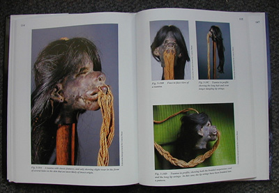 SHRUNKEN HEADS