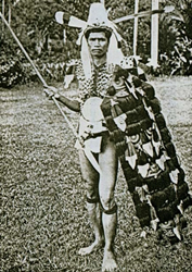 Weapons of Indonesia