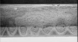 blade detail